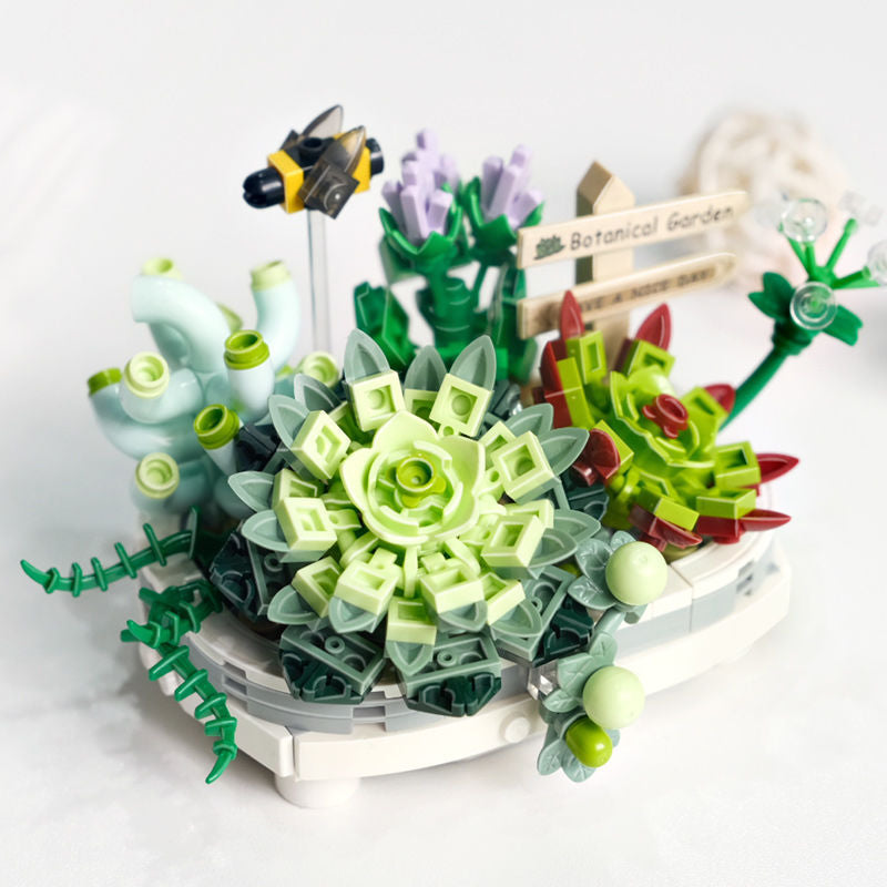 Mini Eden: Succulent Garden & Cherry Blossom Tree Kit