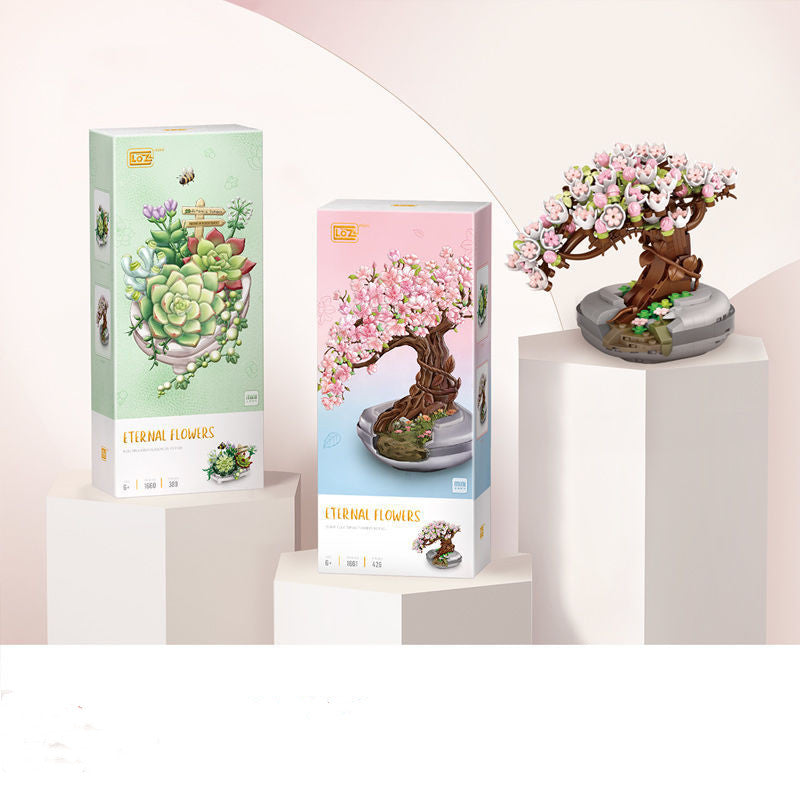 Mini Eden: Succulent Garden & Cherry Blossom Tree Kit